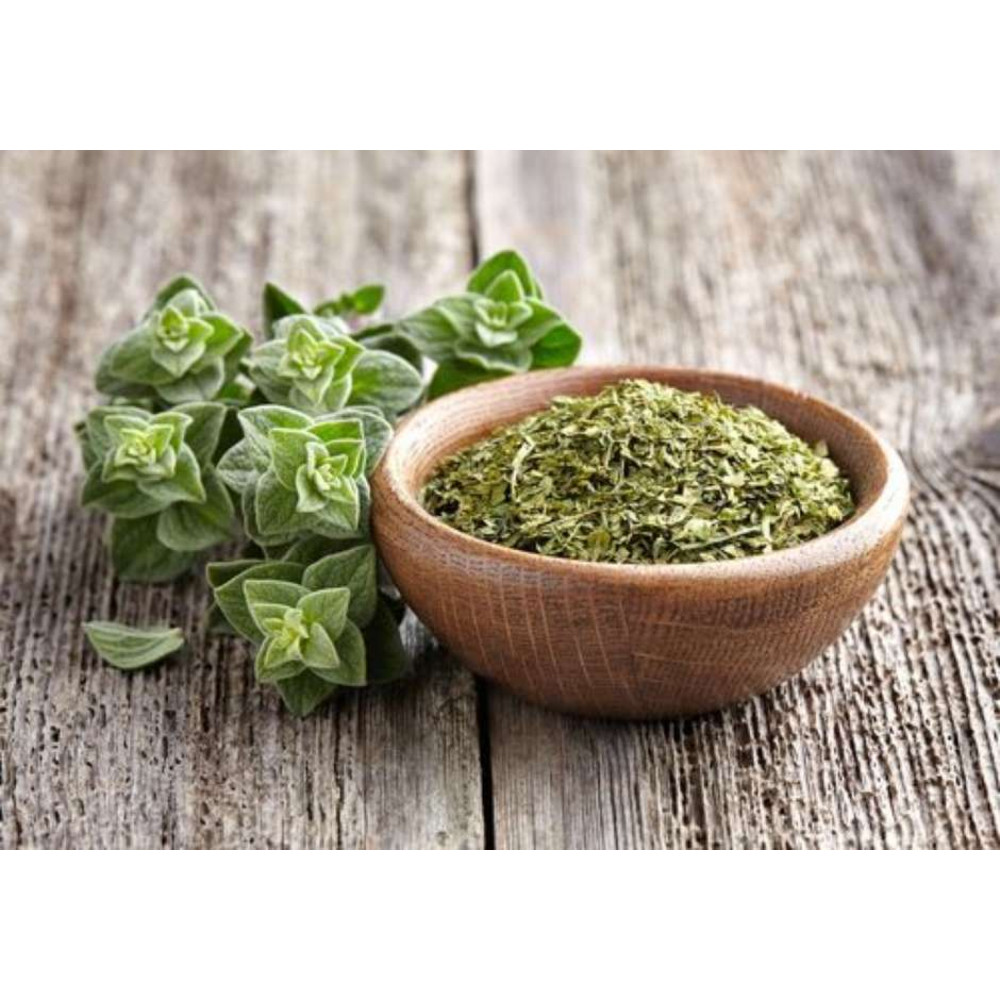 Oregano x kg